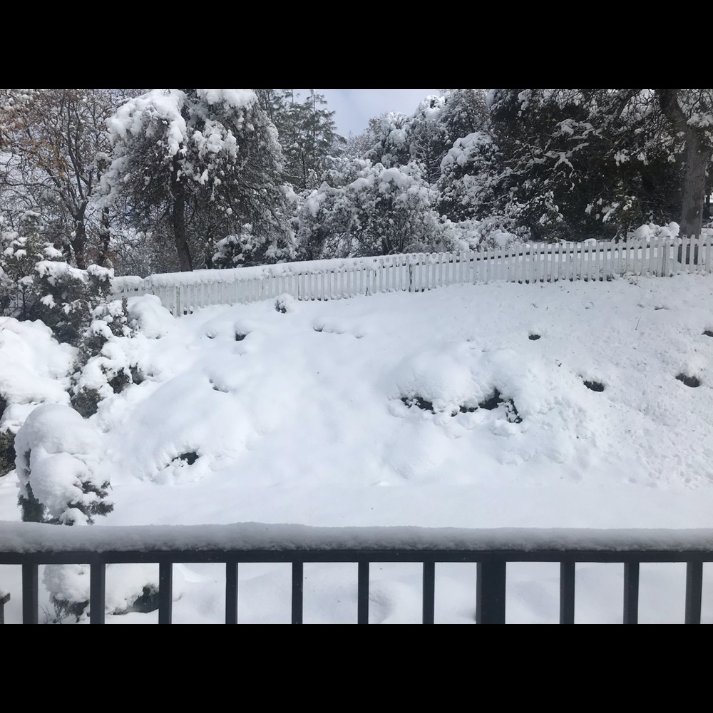 Meet your Posher, Francesca